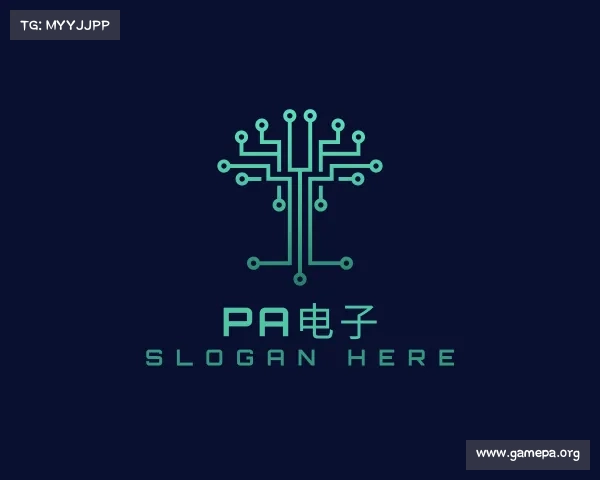 认识pa电子